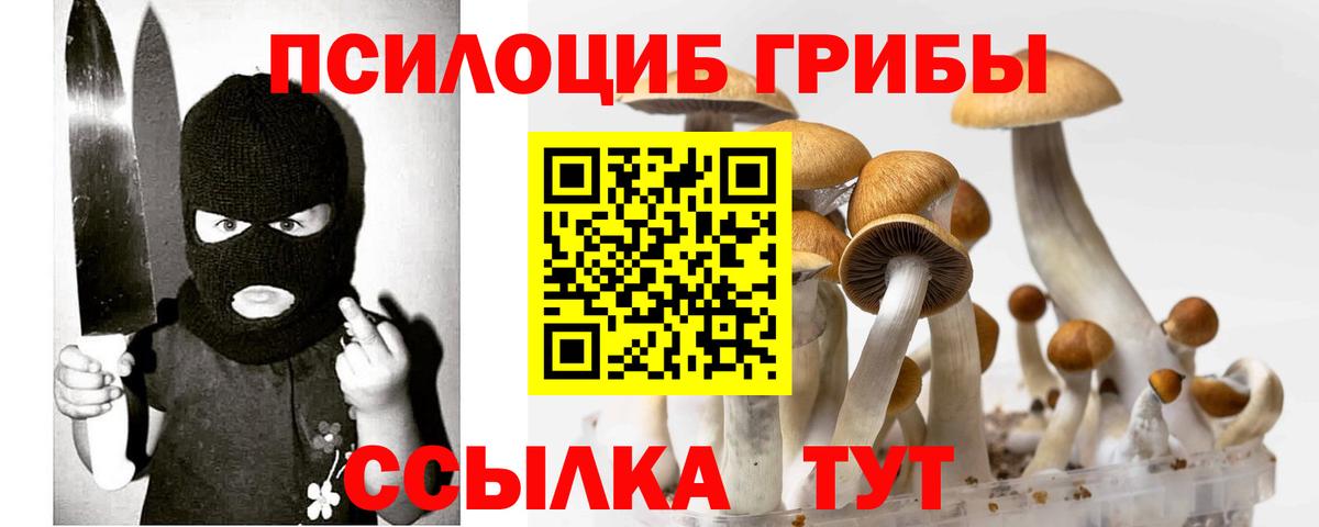 Псилоцибиновые грибы Magic Shrooms  Вход с VPN  Кудрово  Псилоцибиновые грибы Psilocybine cubensis 